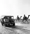 US Army Canadian Military Pattern Trucks ride alongside Camels in India