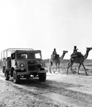 US Army Canadian Military Pattern Trucks ride alongside Camels in India