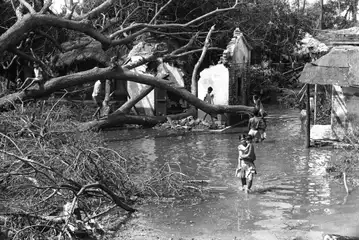 Children walk through the flooded ruins of Bhadrak, Orissa after the 1971 Cyclone