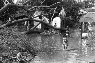 Children walk through the flooded ruins of Bhadrak, Orissa after the 1971 Cyclone